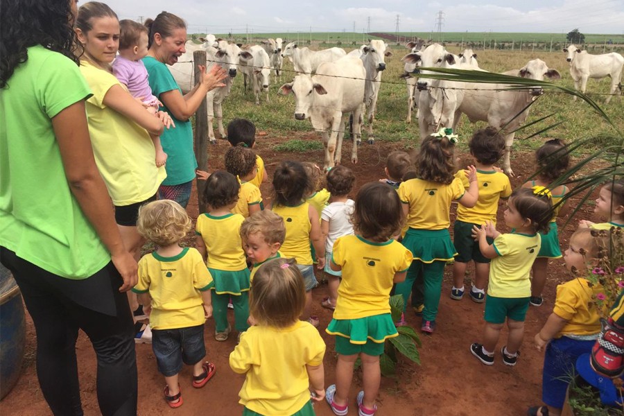 Encerramento do Projeto da Vaca