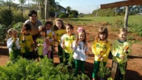 05 de Junho: Dia Internacional do Meio Ambiente.